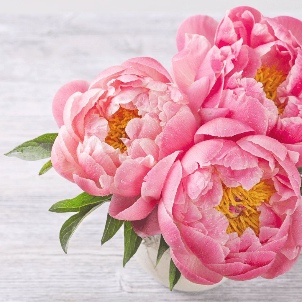 My Five Must Have Spring Flowers | Living Beautifully