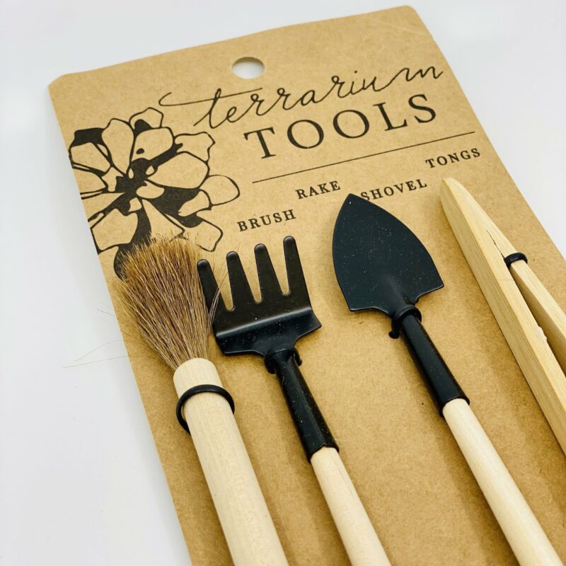 Terrarium Tool Kit