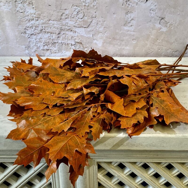 Painted Oak Leaves
