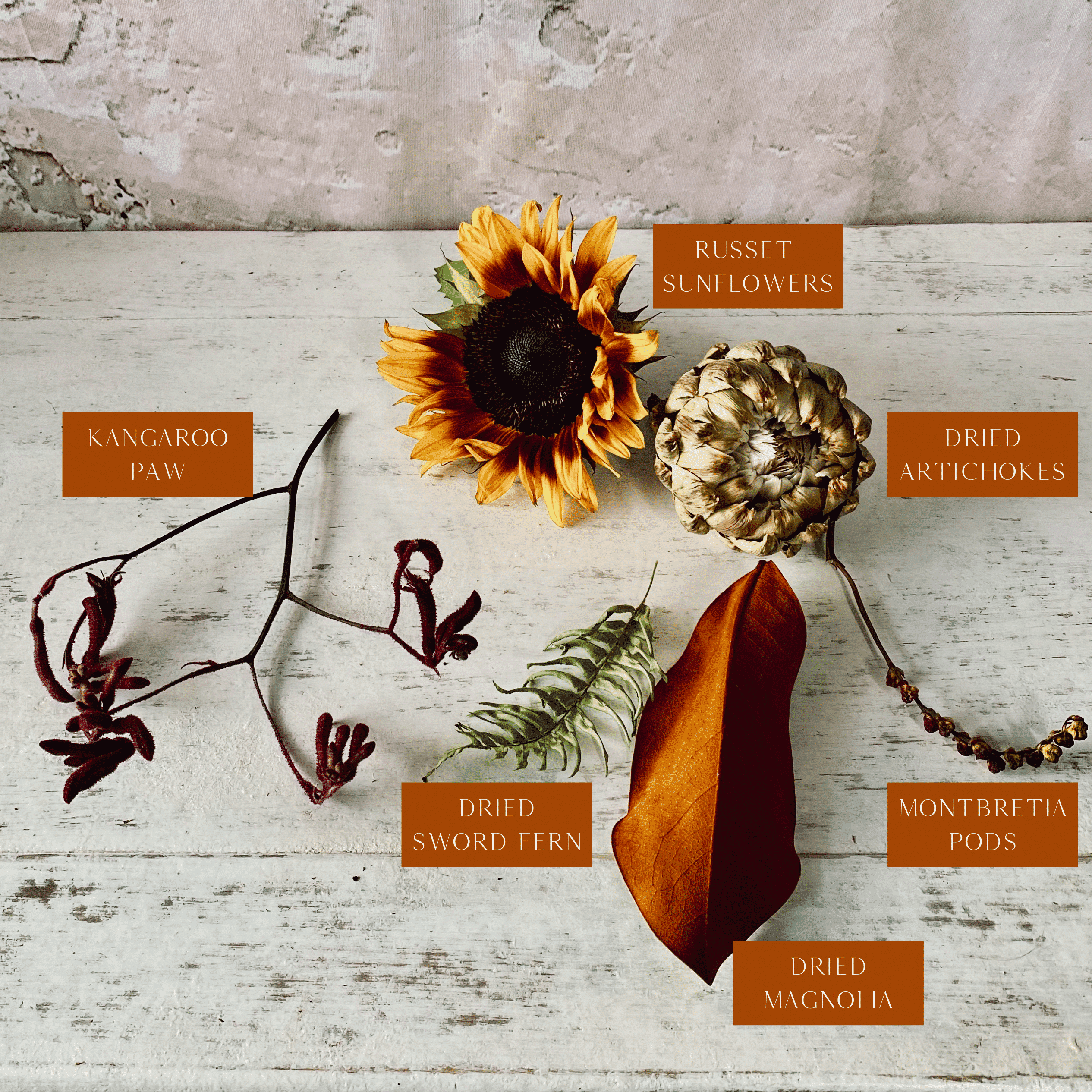 infographic outlining all the floral elements used in this design. Russet sunflowers, kangaroo paw, dried artichoke, dried sword fern, dried magnolia, and montbretia pods