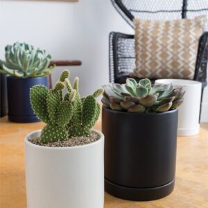 Deco Sand