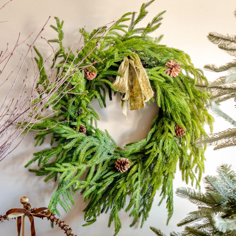 Norfolk Pine Wreath