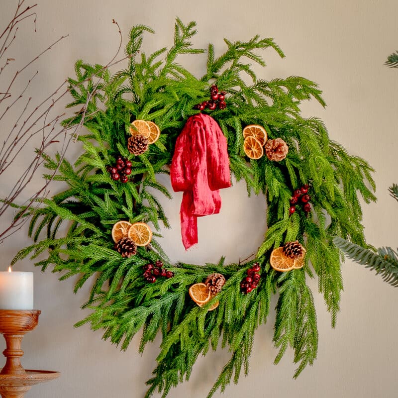 Norfolk Pine Wreath With Oranges and Berries