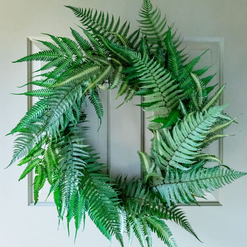 Fern Wreath | Preserved - Image 2