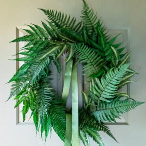 Fern Wreath | Preserved