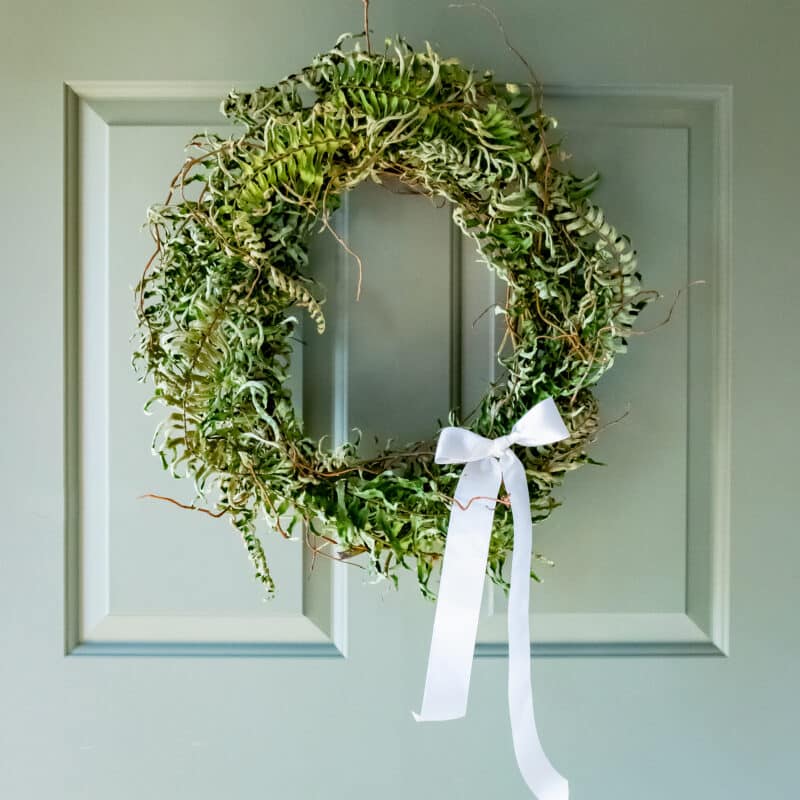 Woven Fern Wreath | Dried