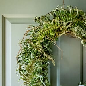 Woven Fern Wreath | Dried - Image 2